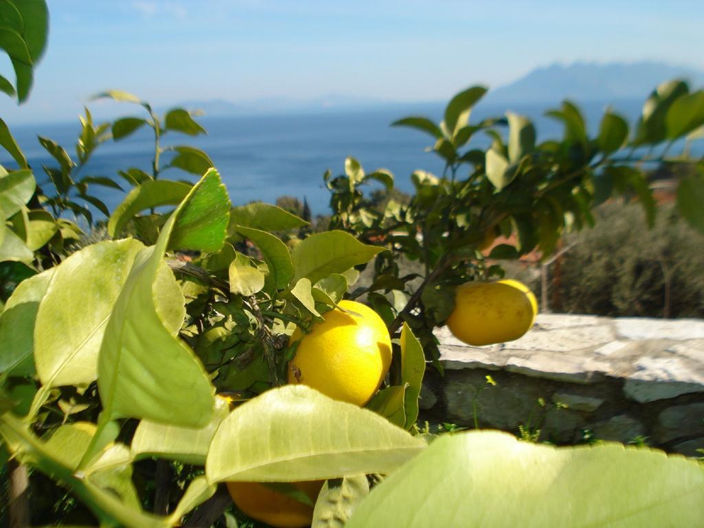 Athina Ecofarm Lägenhet Epidaurus Exteriör bild