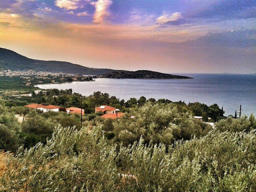 Athina Ecofarm Lägenhet Epidaurus Exteriör bild